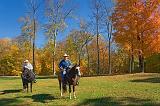 Equestrian Passersby_24658